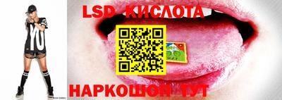 спиды Краснодар