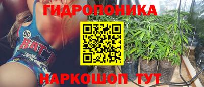 твердый Краснознаменск