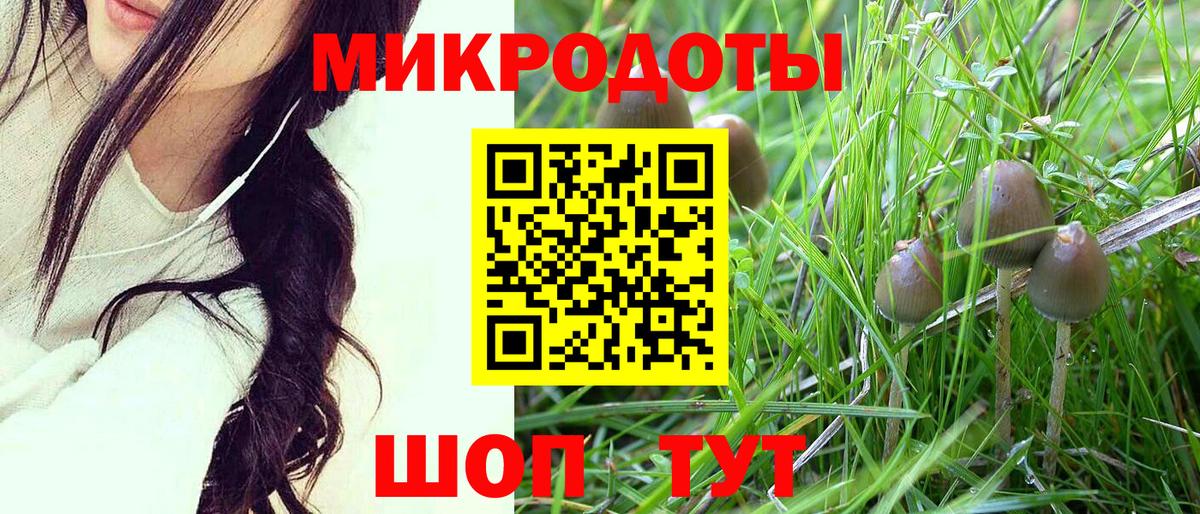 наркотики  Галлюциногенные грибы GOLDEN TEACHER  Вход с VPN  Долгопрудный 