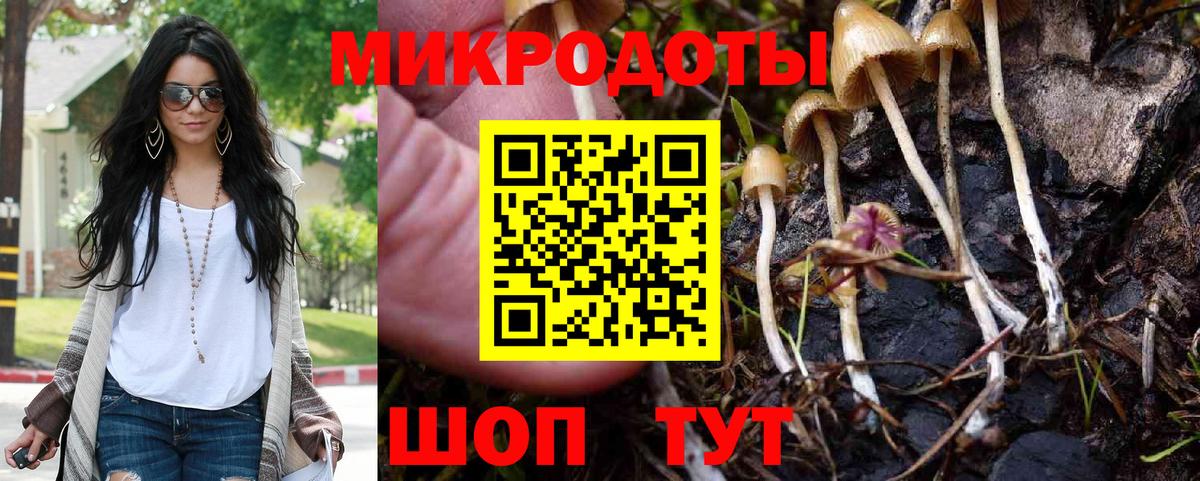 Псилоцибиновые грибы мицелий Долгопрудный